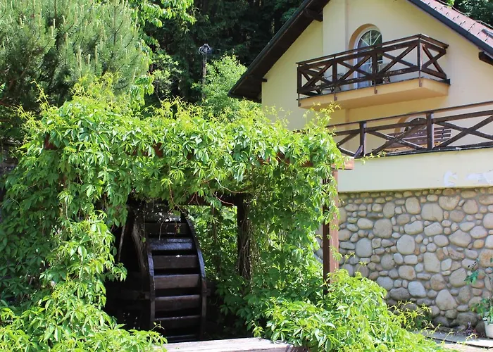 Отель Albis 4*